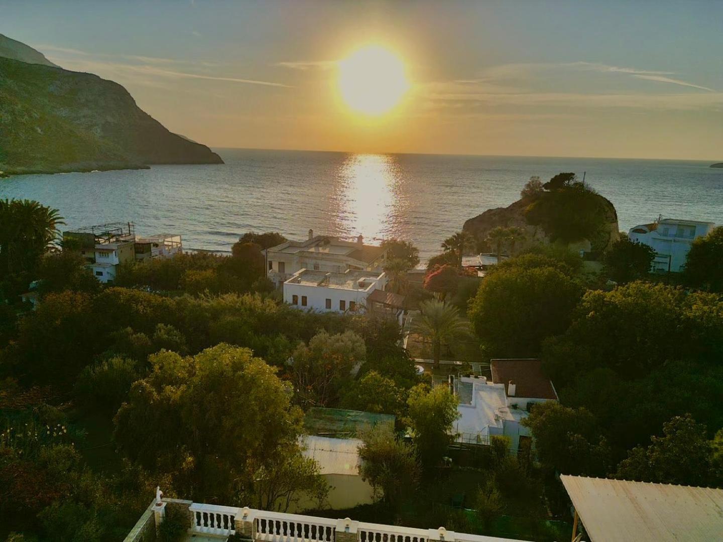 Alkyonis Apartments Panormos  Eksteriør bilde